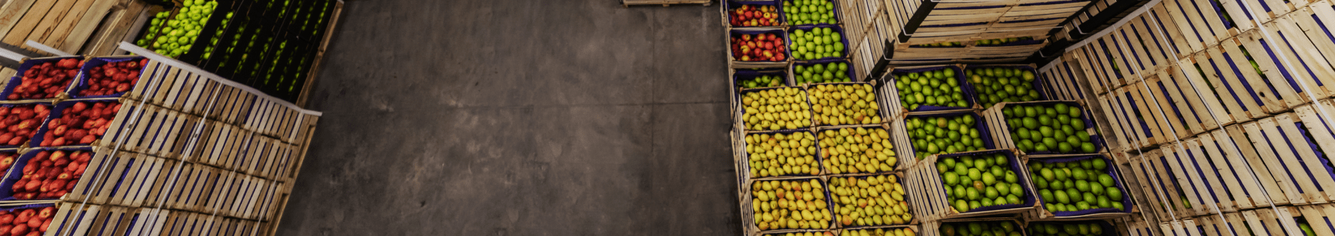 Lagerung in der Kühlkette